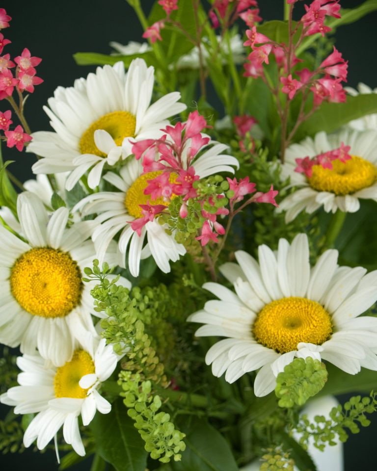 Need Some Ideas Of What To Get Mom For Mother’s Day?