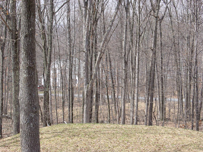 It almost feels like spring…
