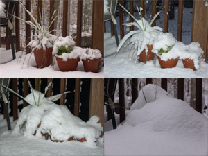 First snow of the year, did it surprise you?