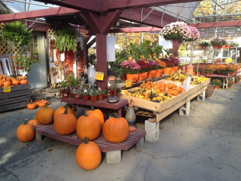 Fall In The Pocono Mountains – Pies, Pumpkins, Mums and More