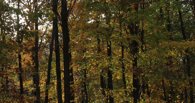 The Search For Eric Frein – Can You Help Find Him?