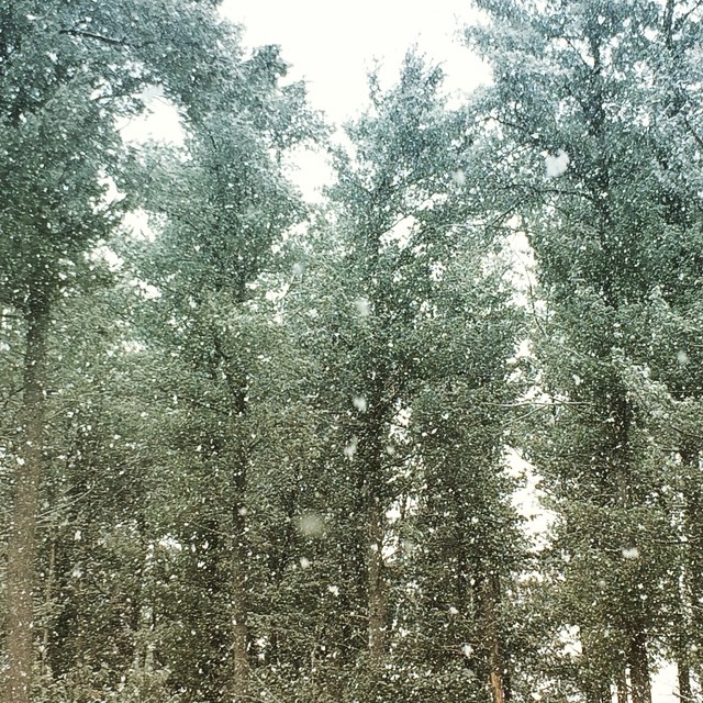 Spring Is On The Horizon In The Poconos