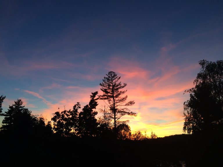 Fall Skies