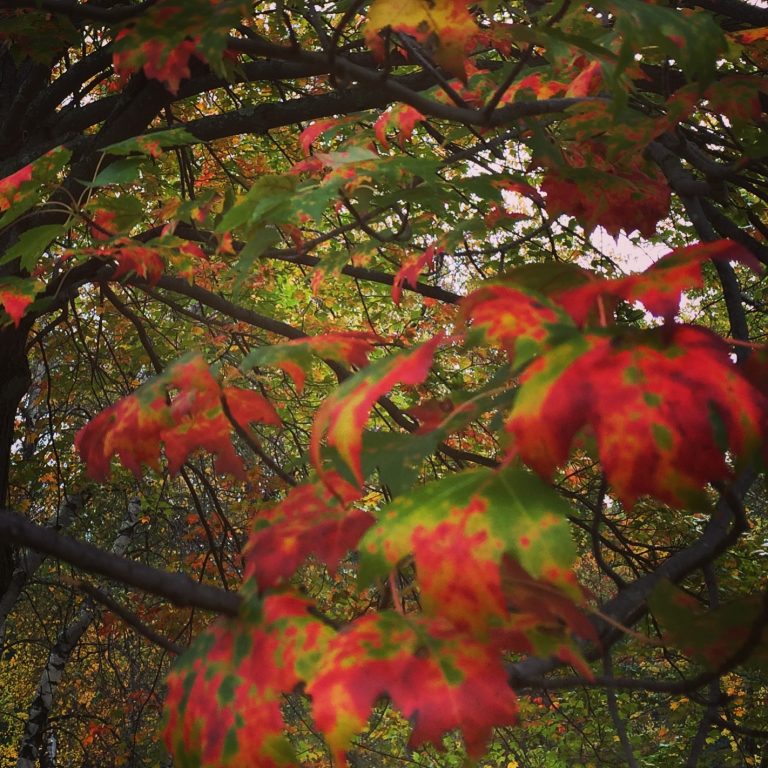 Fall in the Poconos